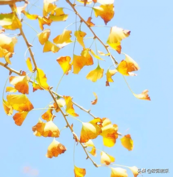 國內34省區最值得去的地方，個個都美得有魔力，此生不去心不安