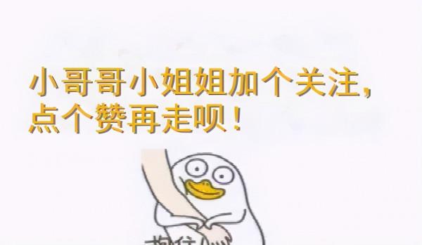 秋天養美短貓,這些“問題”要多加註意 秋天養美短貓,這些“問題”要多加註意