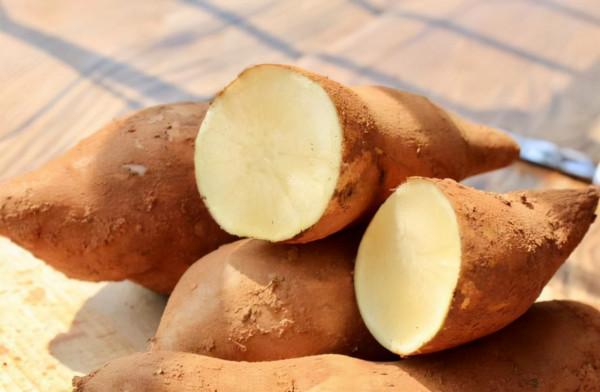 糖尿病人吃橘子,究竟是升糖還是降糖?別亂猜了,聽聽醫生怎麼說 糖尿病人吃橘子,究竟是升糖還是降糖?別亂猜了,聽聽醫生怎麼說