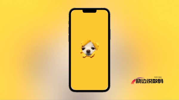 精選高畫質桌布｜可愛寵物狗狗—願您一直擁有狗狗一樣的忠誠