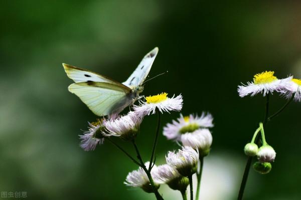 75歲大爺傾訴:給孫子3萬被外孫說太偏心,誰讓他不跟我一個姓的 75歲大爺傾訴:給孫子3萬被外孫說太偏心,誰讓他不跟我一個姓的