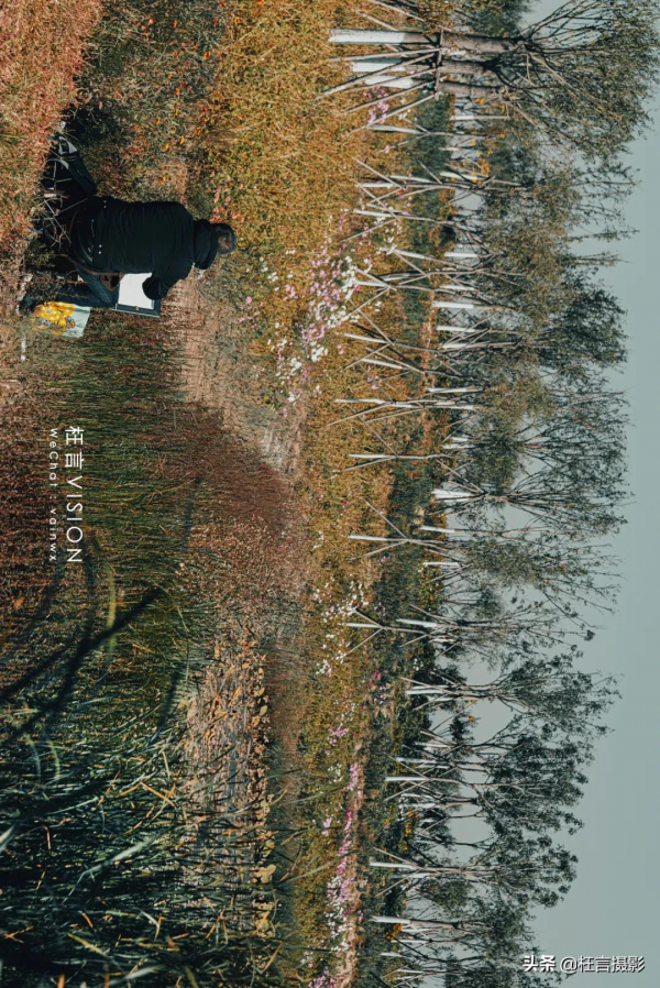 深秋在哪裡 深秋在哪裡