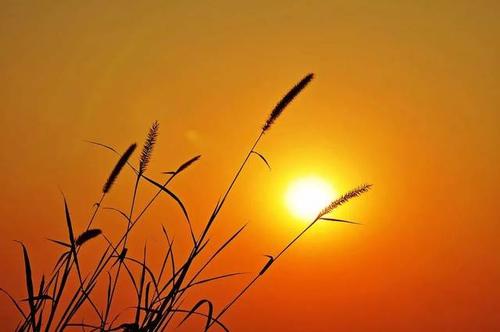 小說：福禍相依