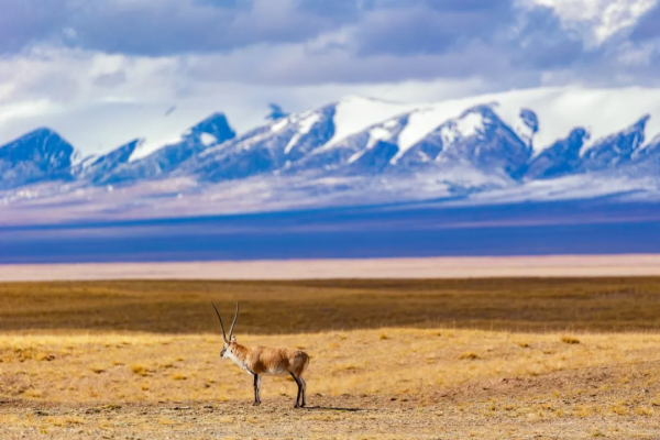 中國第一大河，從何處來？