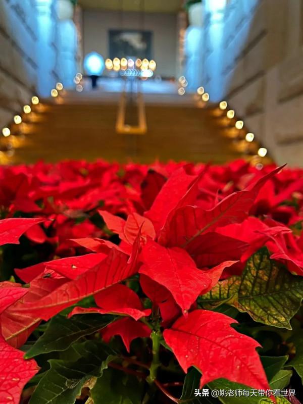 川建國同志同款酒店—首爾君悅