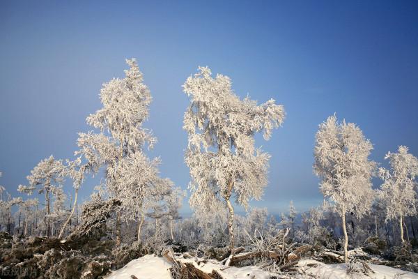 12月去哪玩?這8個美如畫卷的小眾打卡地,一到冬天就美成了仙境 12月去哪玩?這8個美如畫卷的小眾打卡地,一到冬天就美成了仙境