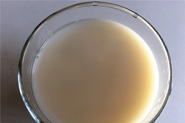 空腹不能吃的食物到底有哪些？已給你列好，牛奶、香蕉不背鍋