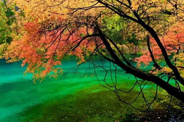 醉美中國，在秋天