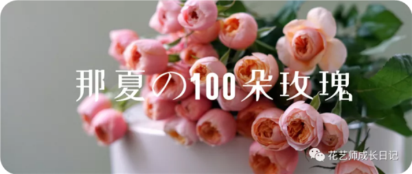 100朵玫瑰vol.25 | 油畫風玫瑰flinders lane,被油彩浸染的復古玫瑰 100朵玫瑰vol.25 | 油畫風玫瑰flinders lane,被油彩浸染的復古玫瑰