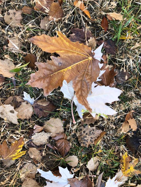 翻了個身兒 翻了個身兒