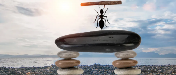 那些又熬過一年的旅行社從業者們