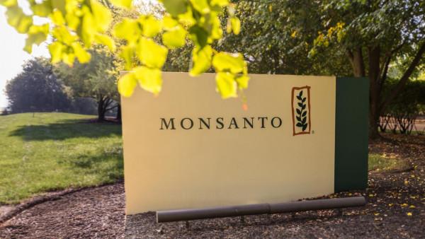 美國人為何越窮越胖？這就是美國食物的生產方式，看吐了！紀錄片