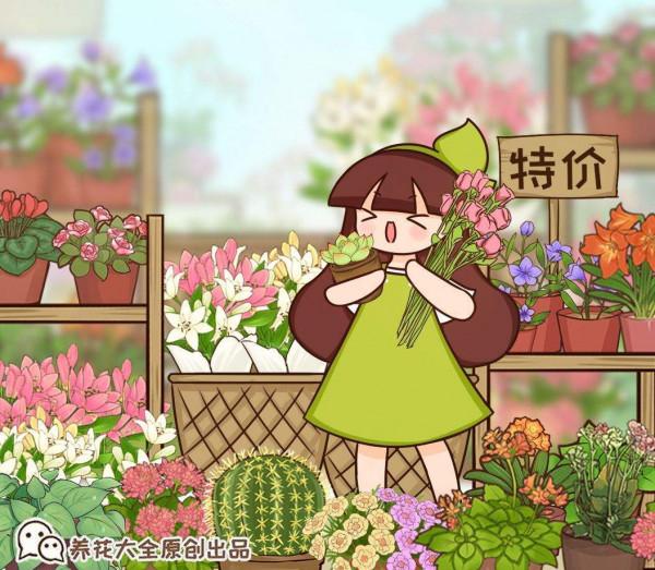 秋天逛花市,看到5種花放心購買,秋天正是開花好時機 秋天逛花市,看到5種花放心購買,秋天正是開花好時機