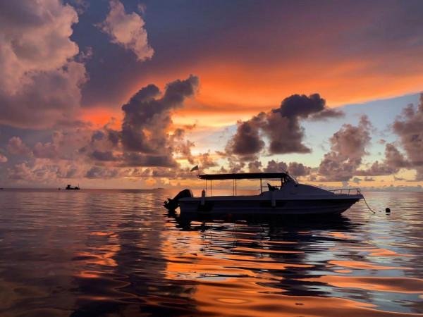 2021-11-12 2021-11-12