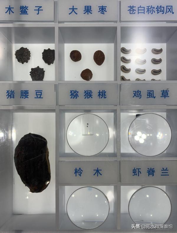 鯤鵬計算產業生態科技展 鯤鵬計算產業生態科技展