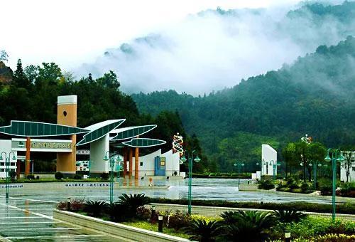 陽嶺，山中有好茶