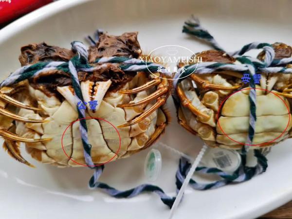 蒸螃蟹，用冷水還是熱水？差別挺大，弄錯了，難怪蟹黃流腳掉一鍋