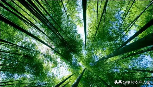 重慶主城周邊15個小眾景點。景色卻讓人流連忘返