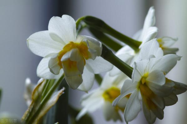 福建冷知識:關於福建的25個世界之最和中國之最,你知道幾個? 福建冷知識:關於福建的25個世界之最和中國之最,你知道幾個?