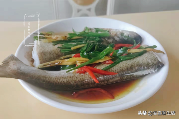 這魚肉質細嫩,卻因魚刺巨多遭人嫌棄,其實營養極高,蒸著吃最鮮 這魚肉質細嫩,卻因魚刺巨多遭人嫌棄,其實營養極高,蒸著吃最鮮
