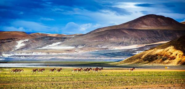 魅力西藏，阿里迴響（待續）