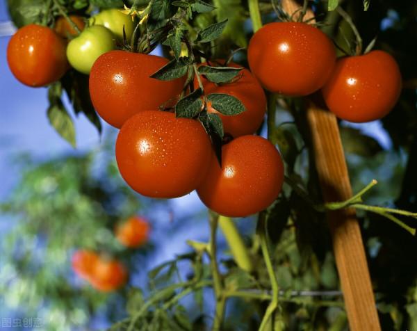 冬天“凍手凍腳”？吃這5種食物，讓身體熱起來