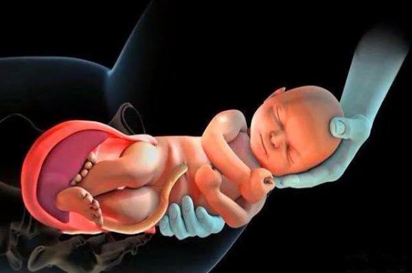 生二胎會快一些嗎？