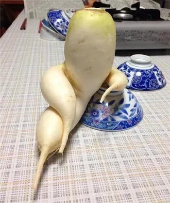 蔬菜的詩與遠方