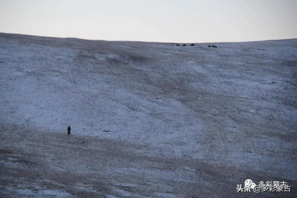 草原牧民人家的一天