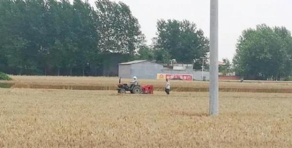 農業發展前景分析探討