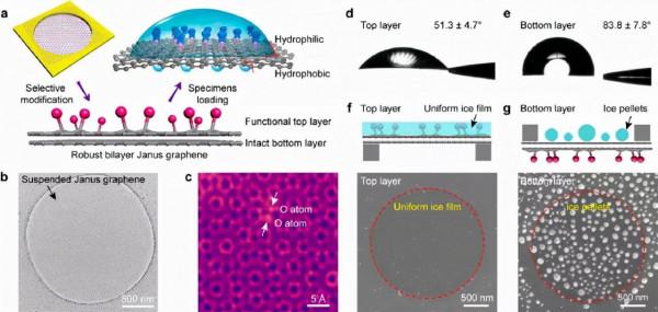 “雙面神”結構薄膜在冷凍電鏡中的應用 “雙面神”結構薄膜在冷凍電鏡中的應用