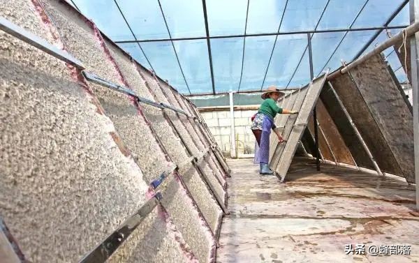 有人花錢在農村專門收購舊木頭，舊木頭有啥用途？5個用途要了解