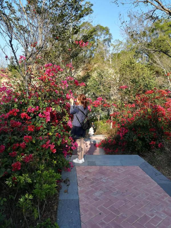 大家應該多和大自然親近