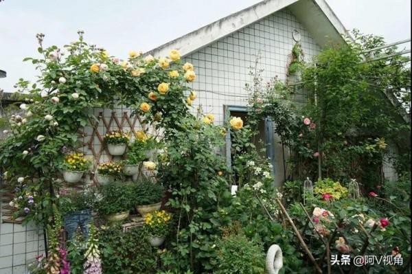 什麼才是人生最幸福的事，2022年我想有個開滿花的院子