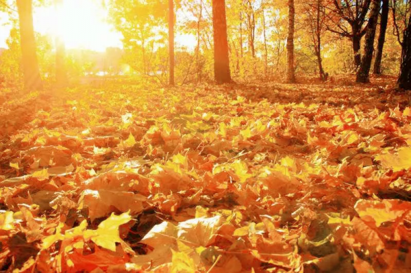 人類為什麼會有煩惱?煩惱又是如何產生的呢?易經早就有答案 人類為什麼會有煩惱?煩惱又是如何產生的呢?易經早就有答案