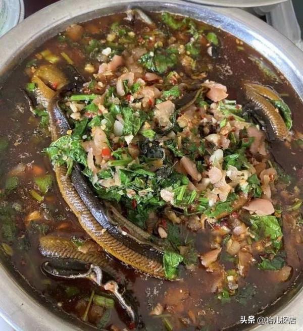 四川小鎮上只賣6個菜的蒼蠅館,人均120元,全是城裡人開車過來吃 四川小鎮上只賣6個菜的蒼蠅館,人均120元,全是城裡人開車過來吃