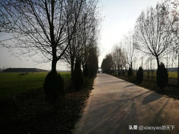 定陶漢墓，中國規模最大的“黃腸題湊”陵墓，其主人或是丁太后