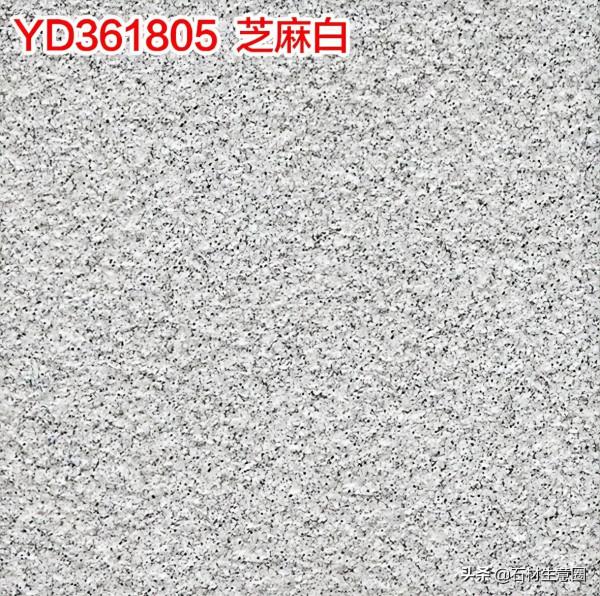 生態地鋪石欣賞