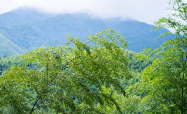 與探嶽一起，打卡臥虎藏龍