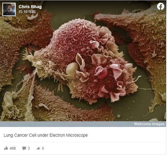 快來看看，我們的器官在顯微鏡下看起來是什麼樣子？