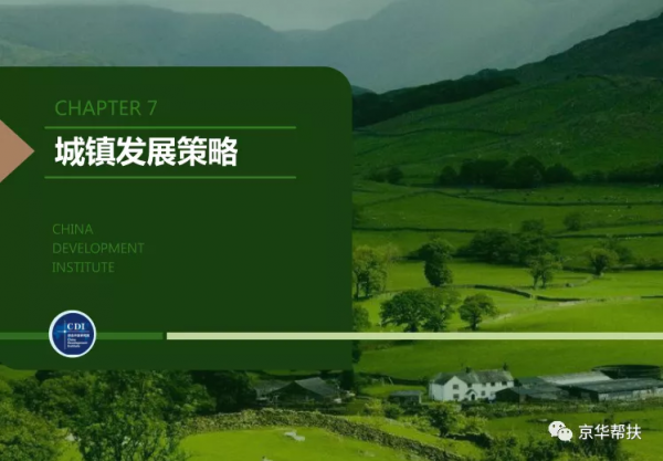 鄉村振興戰略下發展規劃、投融資規劃、城鎮發展策略、經典案例