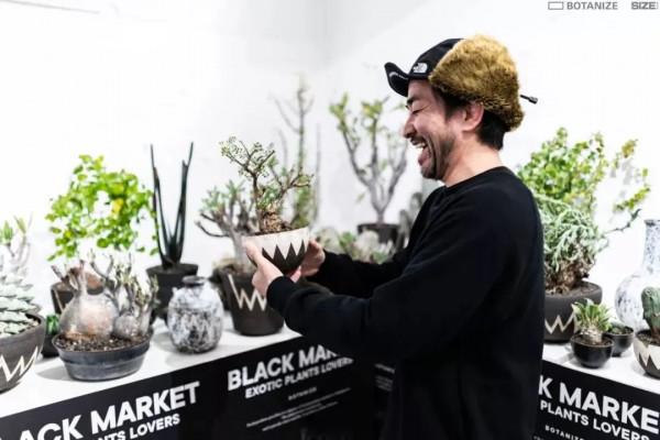 塊根｜在水泥世界中綻放的生命花火