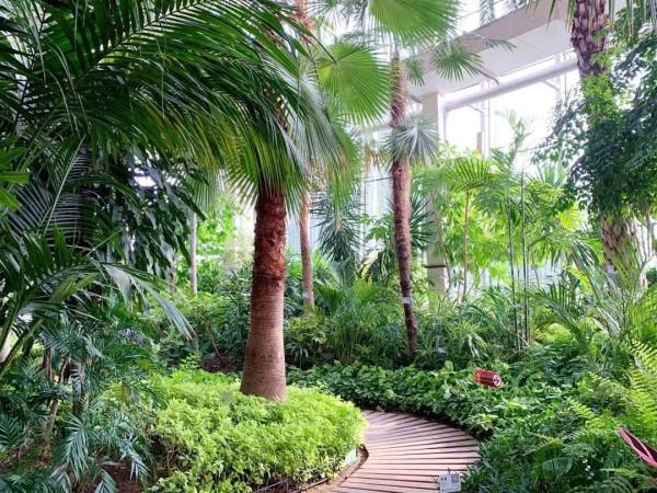 【FENG爆】2021豐臺冬季歡樂遊&mdash;&mdash;冰雪賞花購物之旅