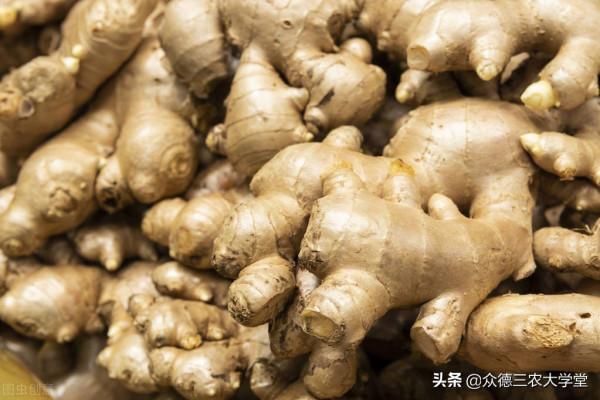 「農產品行情早報」：大姜、蘋果、大蒜、花生、土豆行情