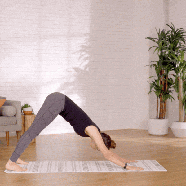 一套適合初學者的「 入門級 」瑜伽序列，建議每天練習