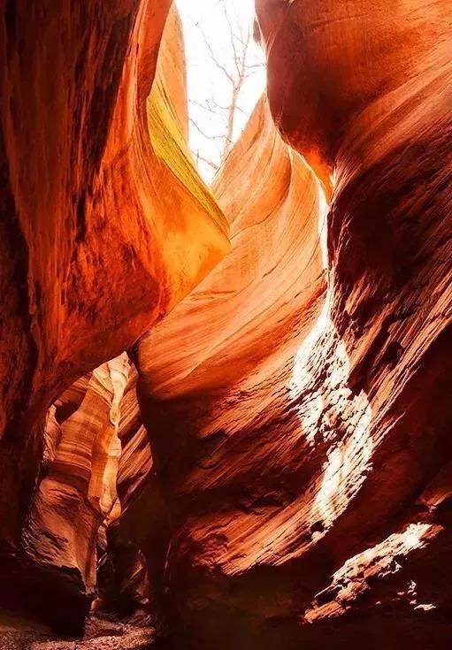 大美甘泉雨岔大峽谷