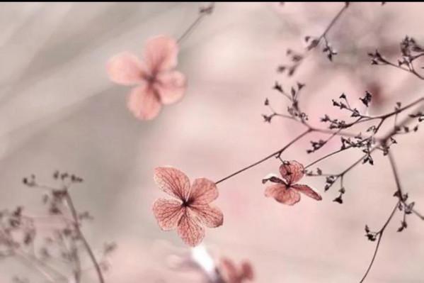 放下，才是對自己最好的交代