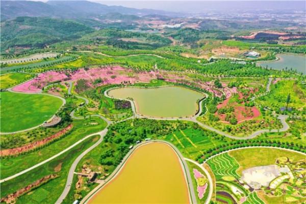 絕美，跟隨鏡頭俯瞰“世界花園彩雲南”