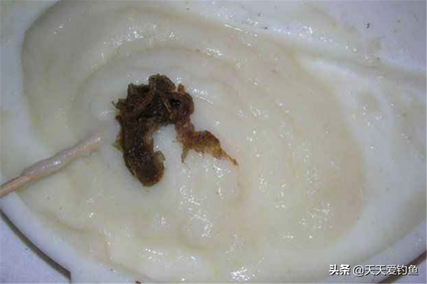 晚秋釣大鯽，什麼餌料都不如米飯，釣魚用的米飯餌，是這樣製作的