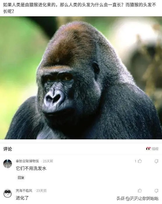 神回覆：長城這麼矮能攔住什麼呢？看完神評服了，好有道理